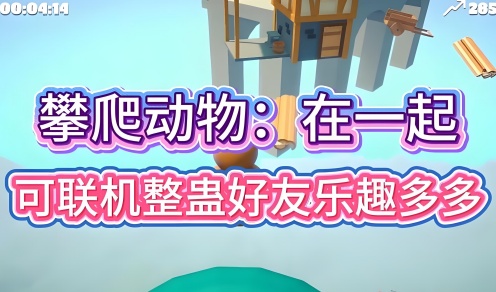 攀爬动物在一起