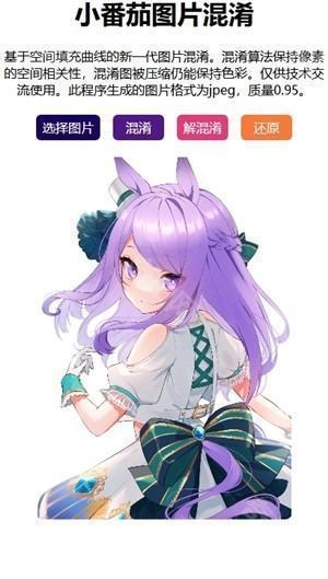 小番茄解图片混淆怎么解图片混淆3