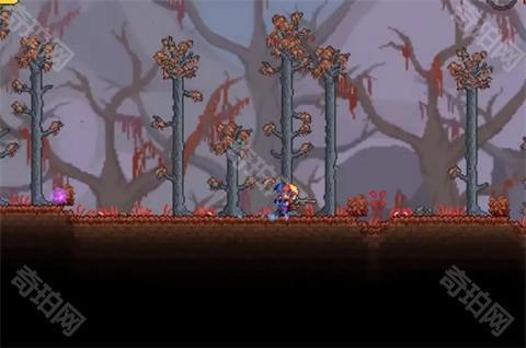 泰拉瑞亚皮皮蛙汉化版1.4.5