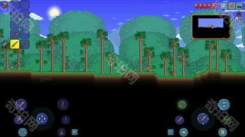 泰拉瑞亚皮皮蛙汉化版1.4.5