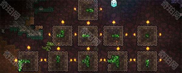 泰拉瑞亚皮皮蛙汉化版1.4.5