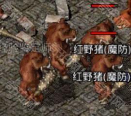 原始传奇
