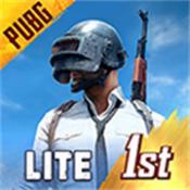 pubg轻量版北辰轻体直装版本