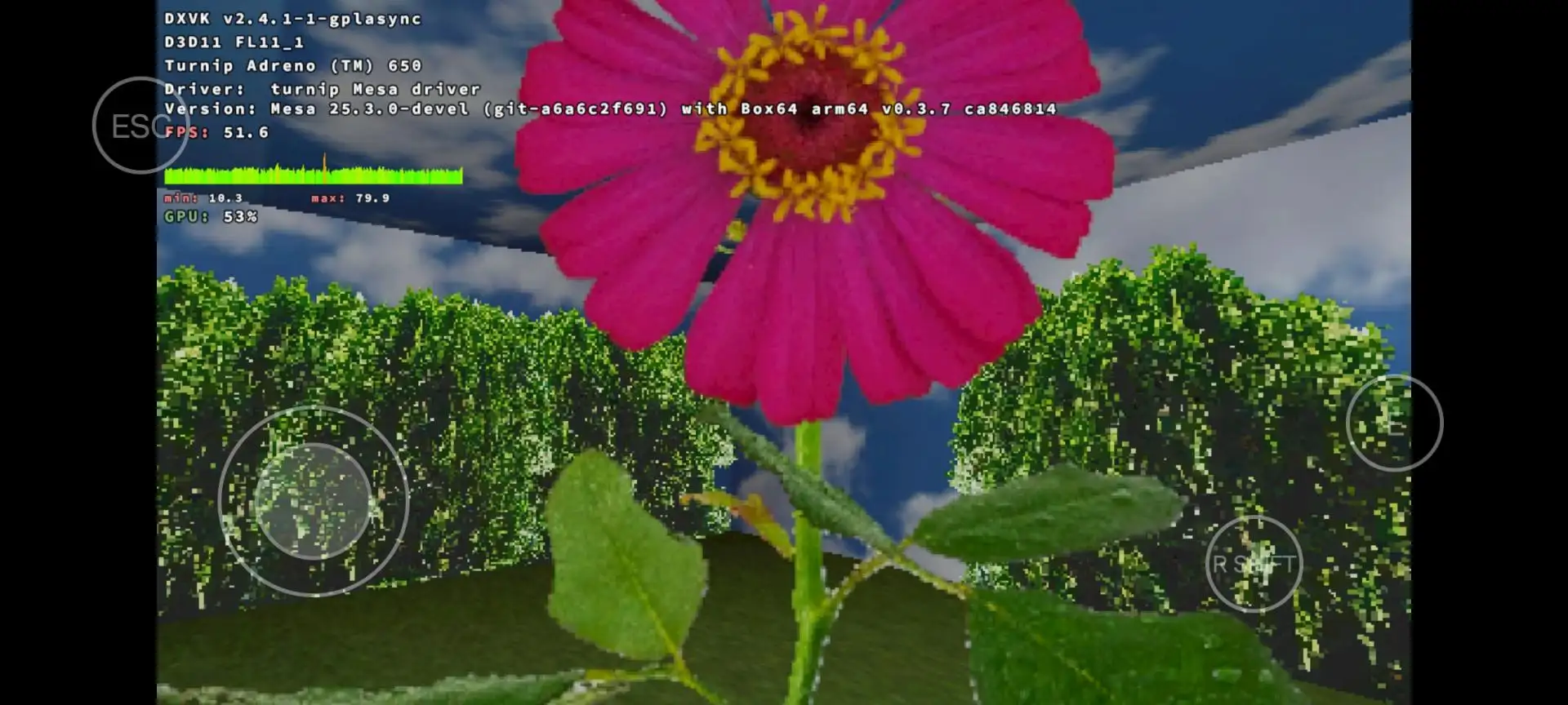 花儿不会死