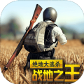 战地之王正式版
