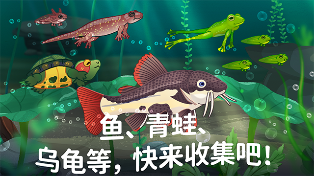 池趣