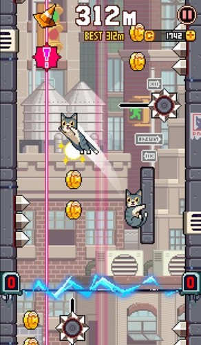 CatJump