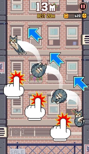 CatJump