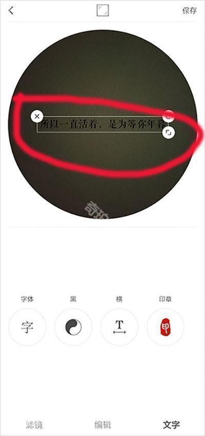 videostar苹果版