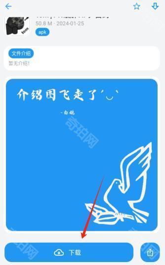 白鸽软件盒