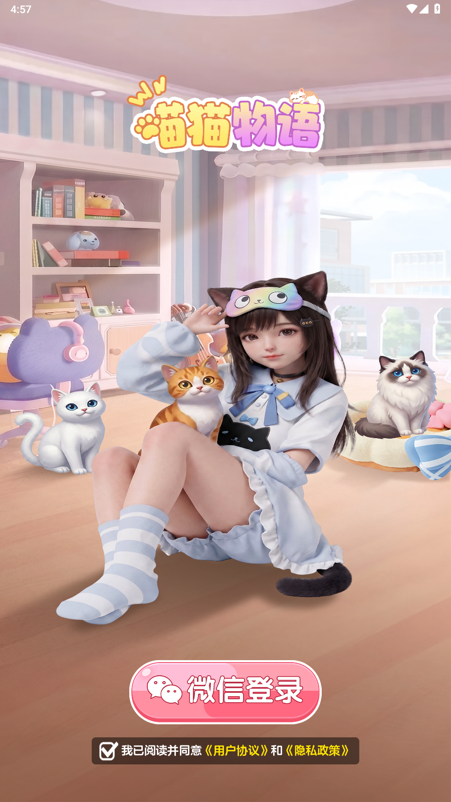 猫猫物语