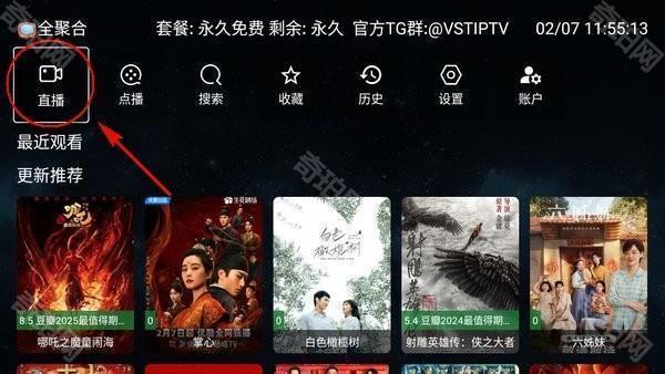 VST全聚合手机版