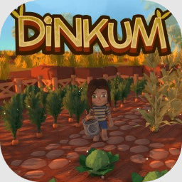 dinkum金垦小镇
