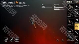 pubg国际服4.5版本