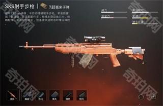 pubg国际服4.5版本
