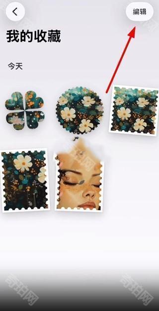 artstamp正版