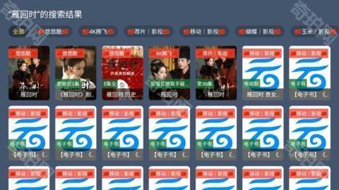 乐享4K电视版