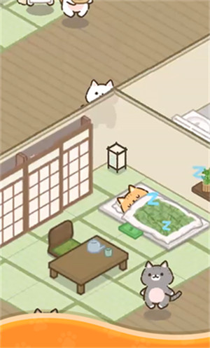 温馨猫咪酒店