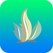 海草助手