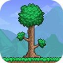 Terraria1.4.5皮皮蛙汉化版