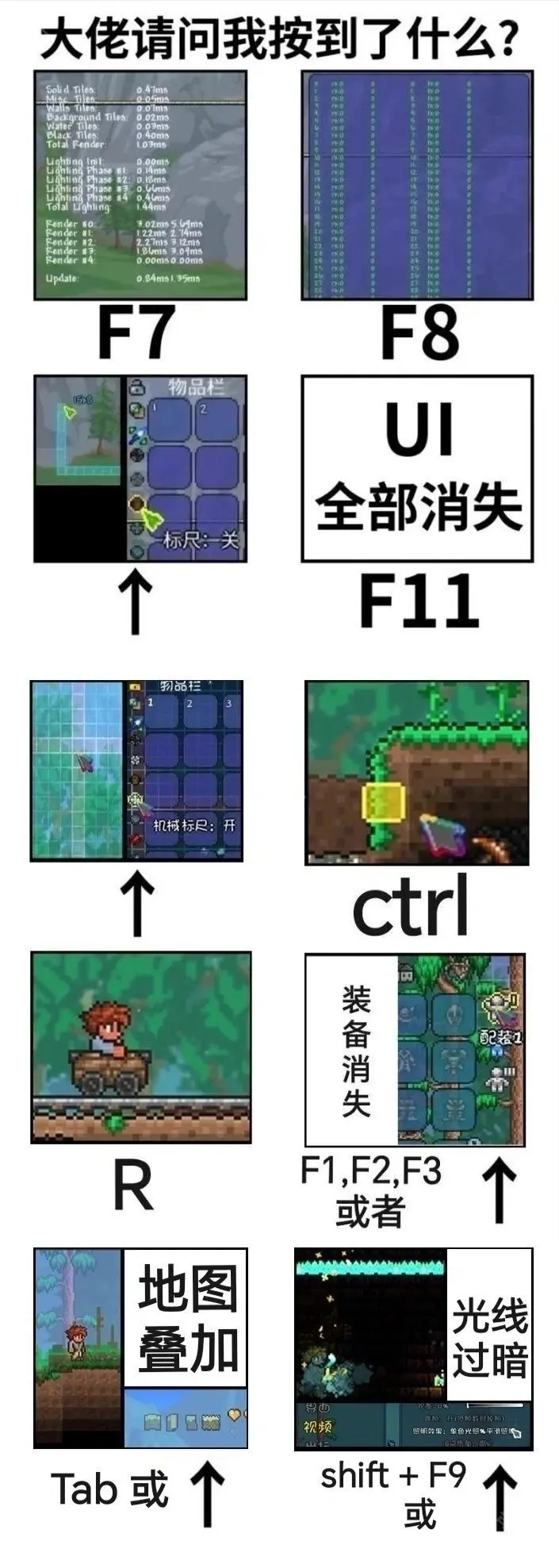 泰拉瑞亚1.4.5.6安卓版