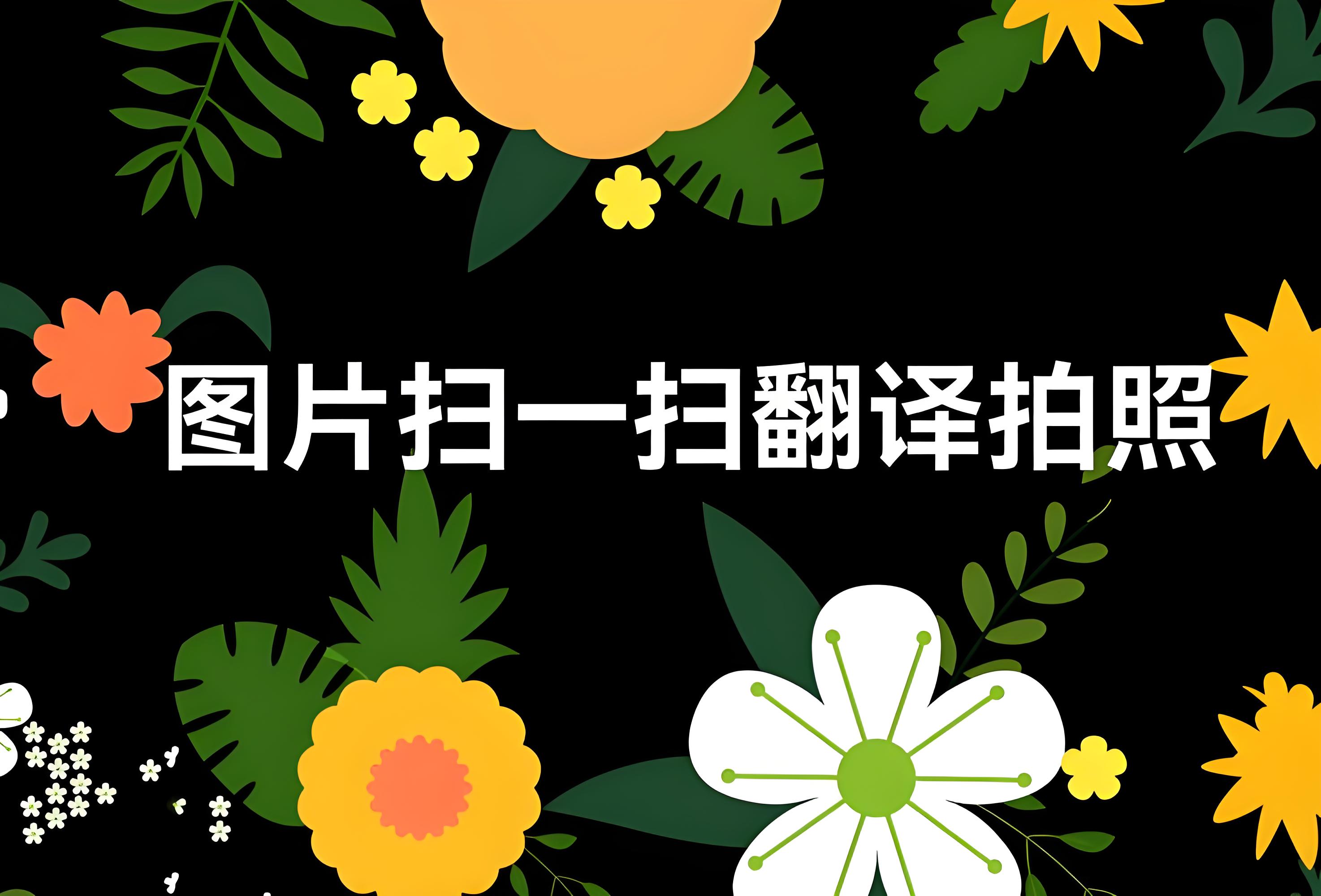 拍照翻译最准的软件