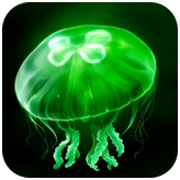 eggjelly安卓版