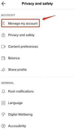 TikTok海外版