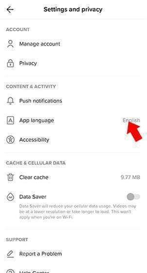 国际版抖音TikTok