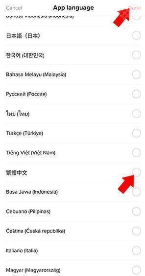 国际版抖音TikTok