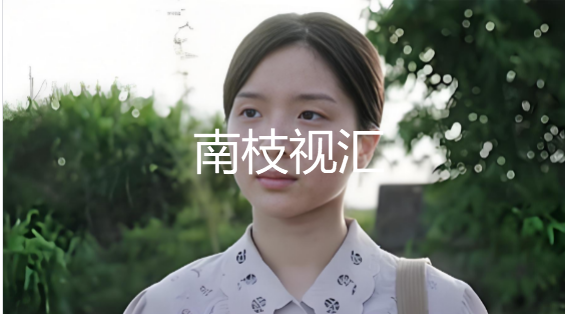 南枝视汇