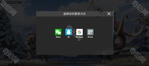 pubgm4.6国际版