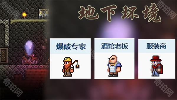 泰拉瑞亚1.4.4.9