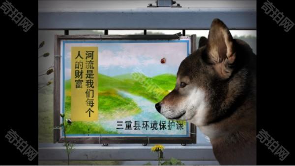 翌日波奇狗的历险记